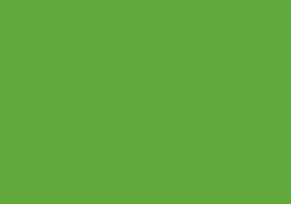 Pigment St.kissen10x6cm grün
