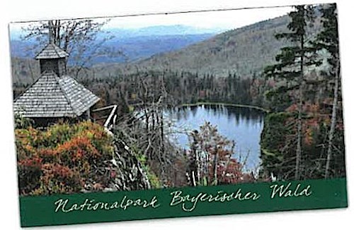 Magnet Nationalpark Bayerischer Wald