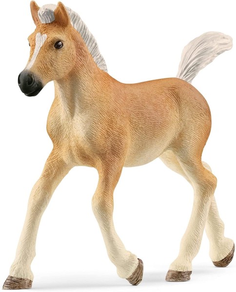 schleich 13951 Haflinger Fohlen, für Kinder ab 5-12 Jahren, HORSE CLUB - Spielfigur
