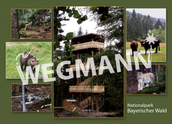 Postkarte und Ansichtskarte Nr. 18 - 50er Set